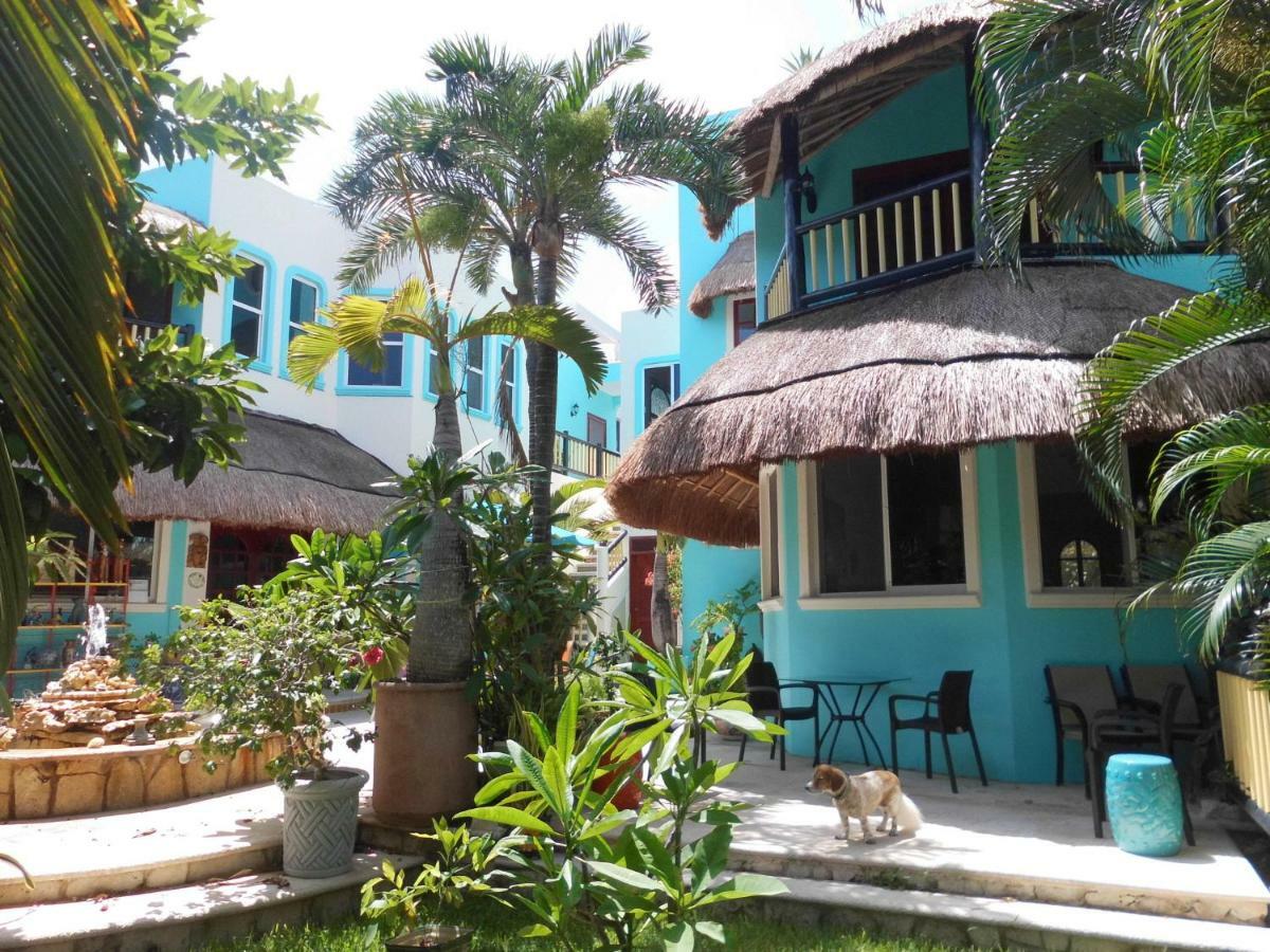 Apart-hotel Casa Gatos
