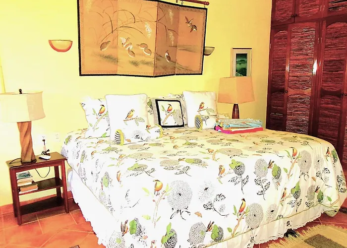 Casa Gatos