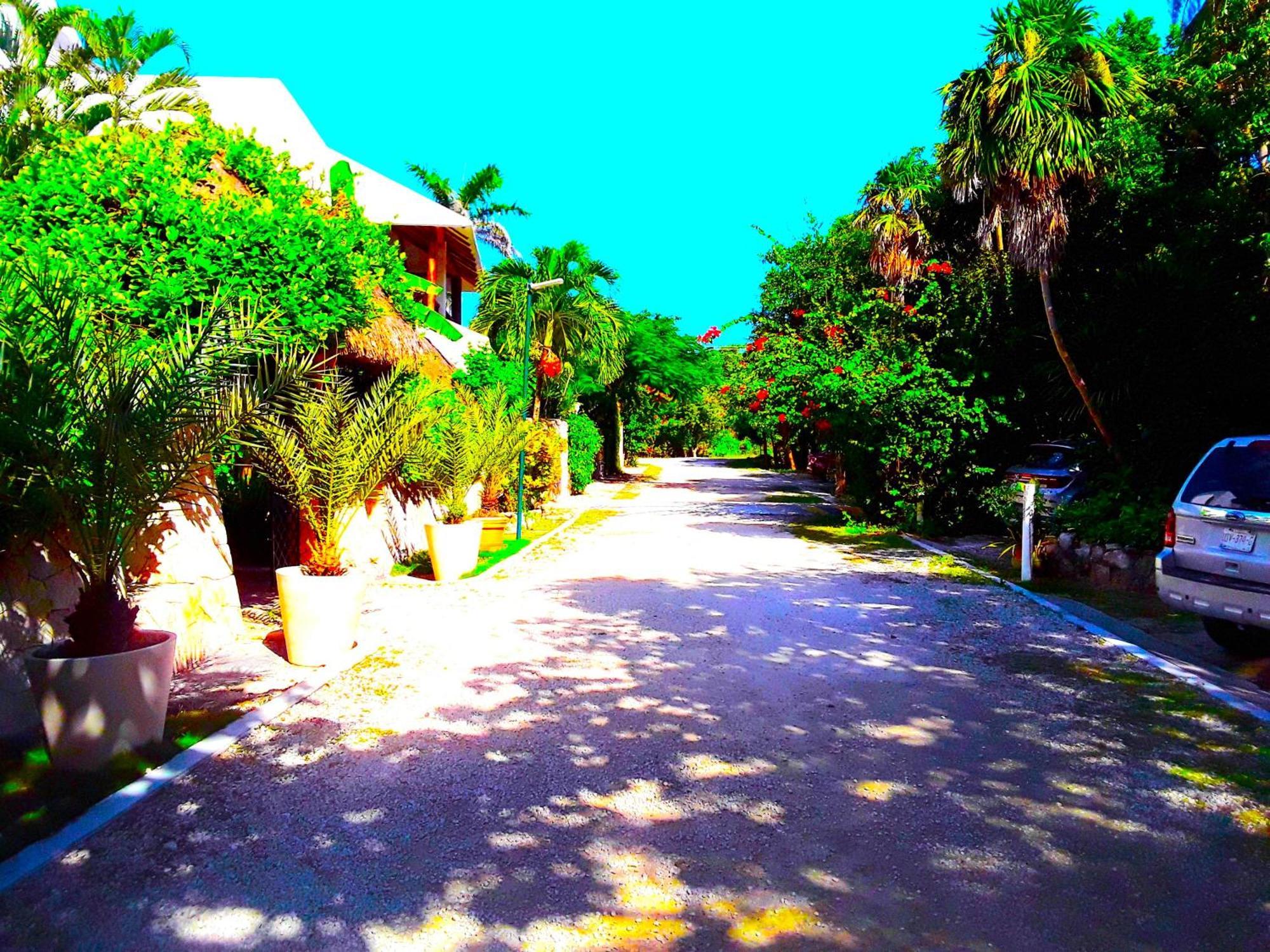 Casa Gatos Apartahotel Akumal